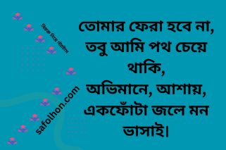 বিরহ মানে একা ভালোবাসার উদযাপন