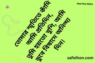 বিরহের টেটাস